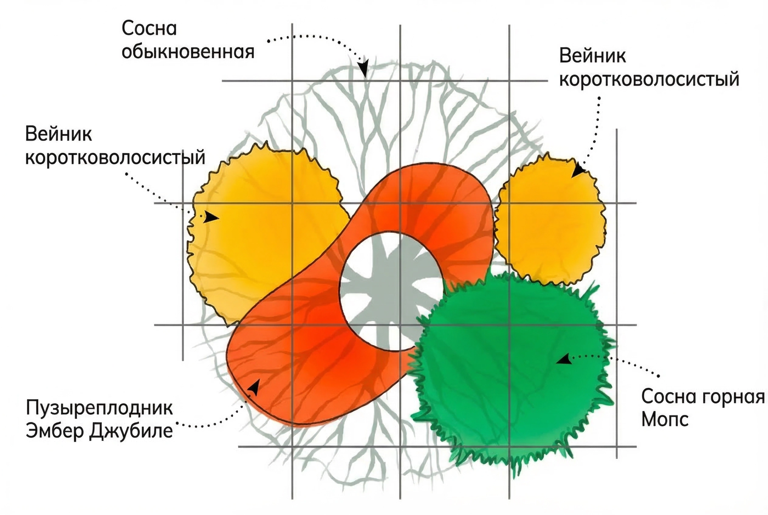 Схема клумбы Яркая осень